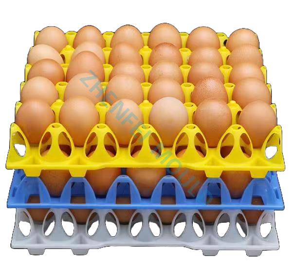 Egg Tray